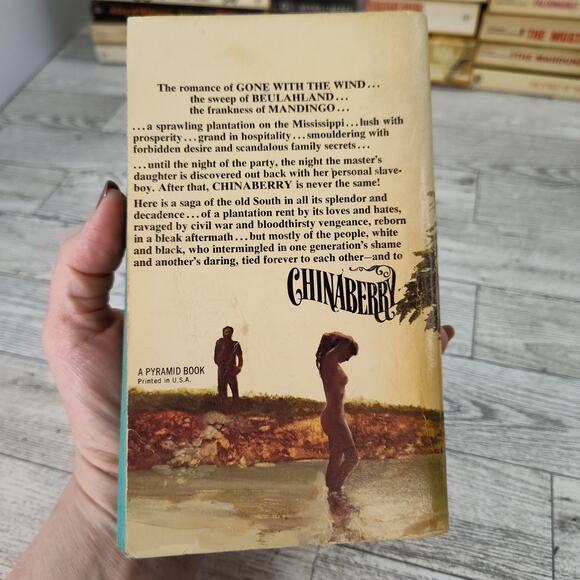Chinaberry by William Lavender 1976 Pyramid Paperback Historical Fiction - Picture 6 of 13